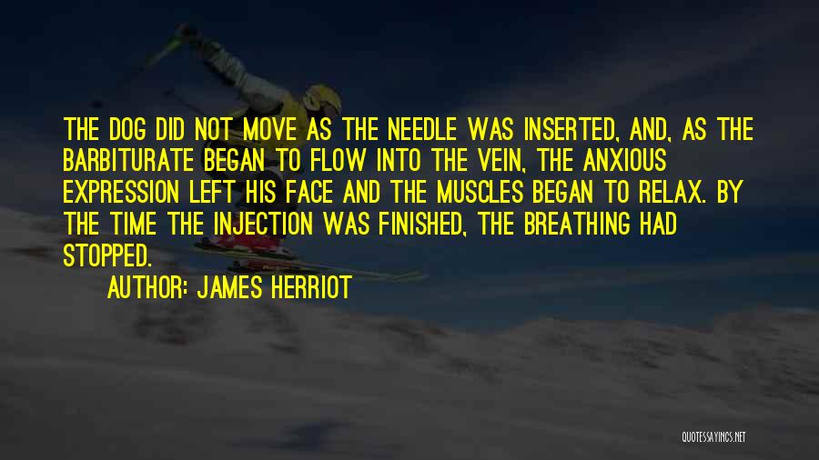 Injection Quotes By James Herriot