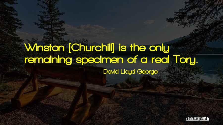 Injects Synonym Quotes By David Lloyd George