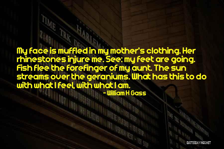 Injure Me Quotes By William H Gass Injure Me Quotes By William H Gass