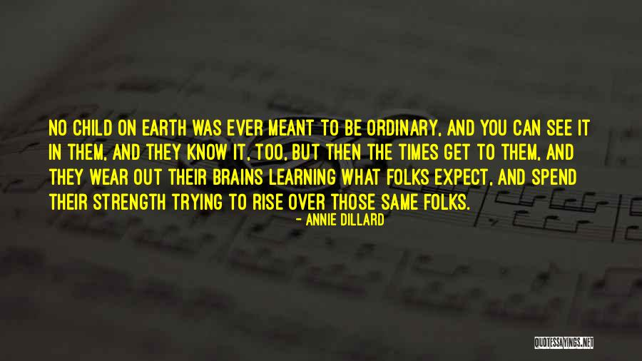 Injuriar Definicion Quotes By Annie Dillard Injuriar Definicion Quotes By Annie Dillard