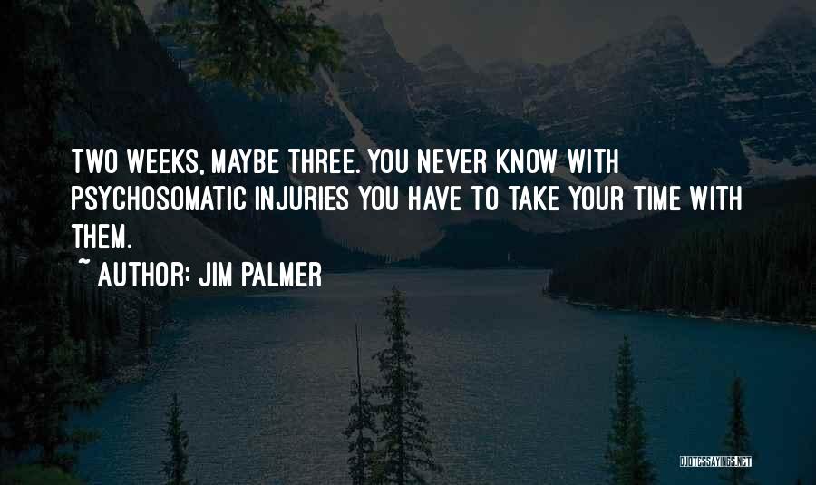 Injuries Quotes By Jim Palmer