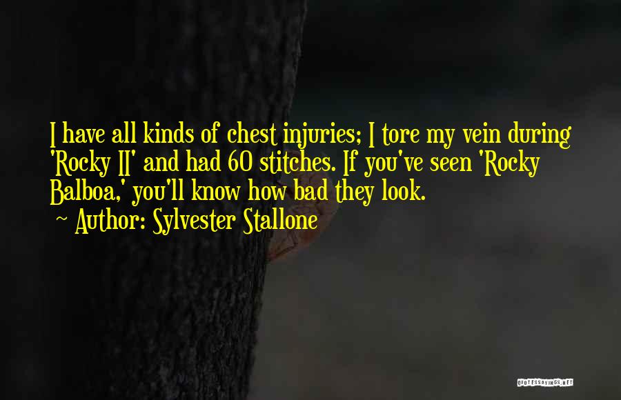 Injuries Quotes By Sylvester Stallone