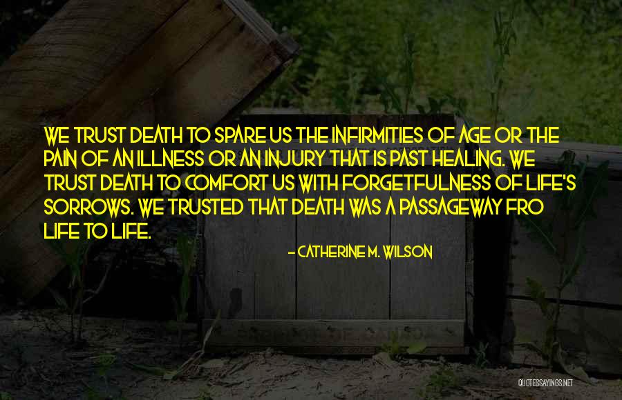 Injury Healing Quotes By Catherine M. Wilson