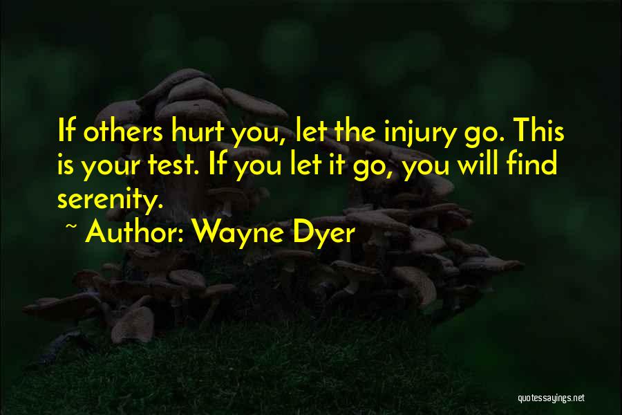 Injury Quotes By Wayne Dyer