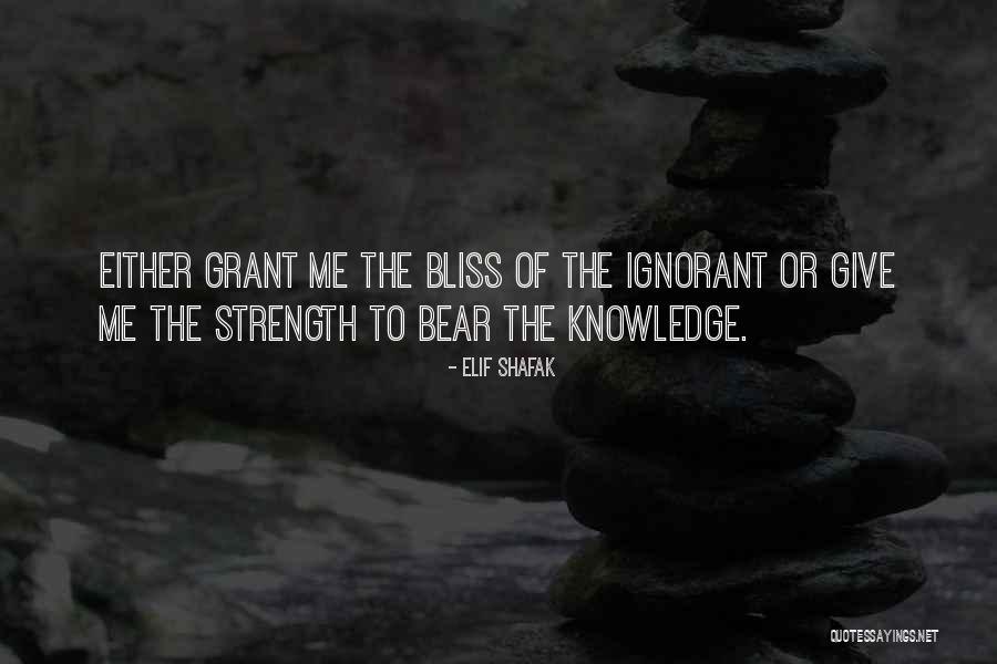 Injury Setback Quotes By Elif Shafak Injury Setback Quotes By Elif Shafak