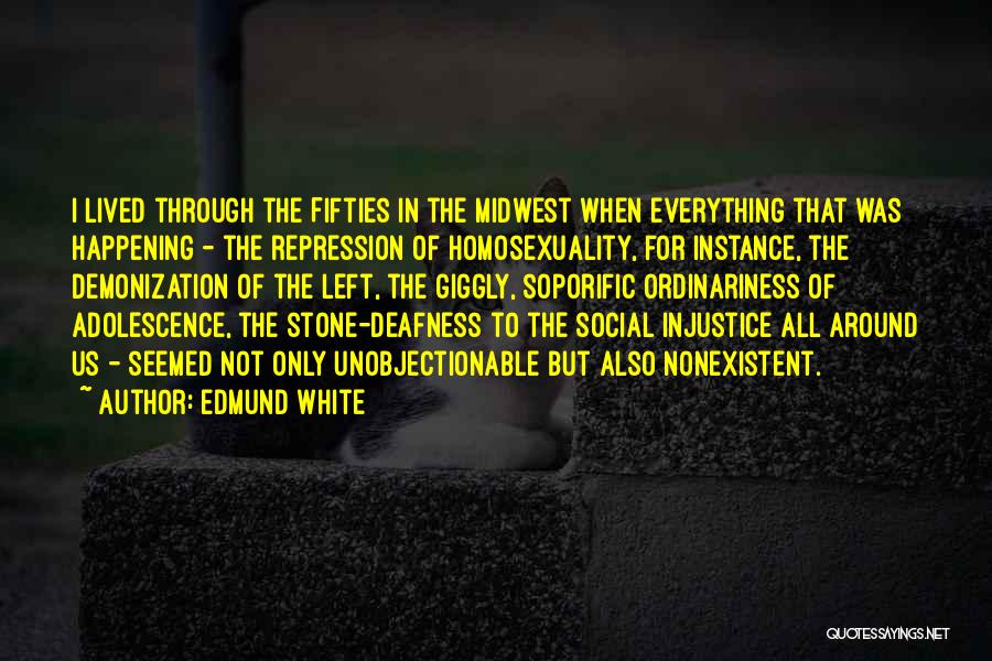 Injustice For All Quotes By Edmund White