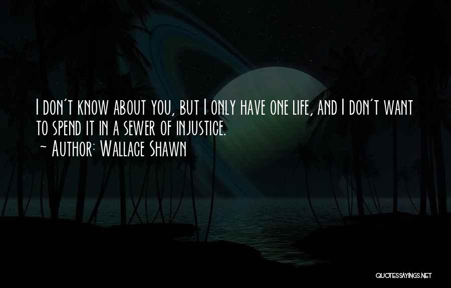 Injustice In Life Quotes By Wallace Shawn