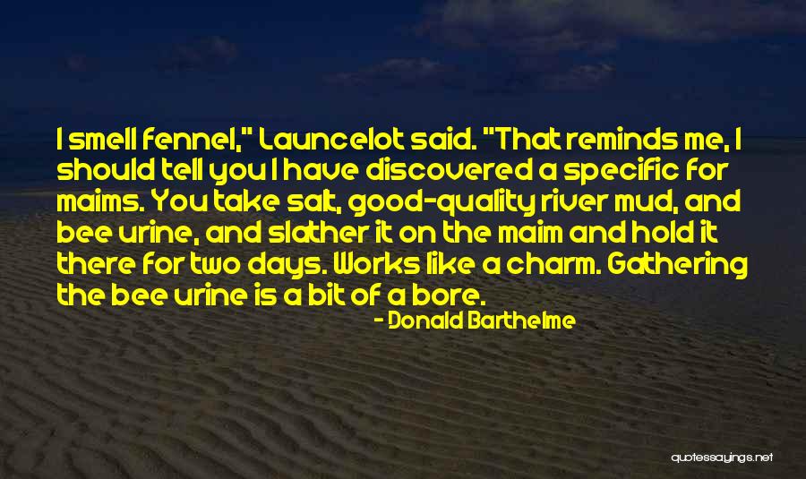 Injustice Malcolm X Quotes By Donald Barthelme Injustice Malcolm X Quotes By Donald Barthelme