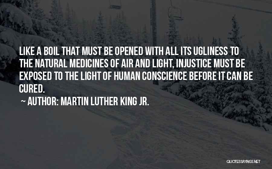 Injustice Martin Luther King Quotes By Martin Luther King Jr.