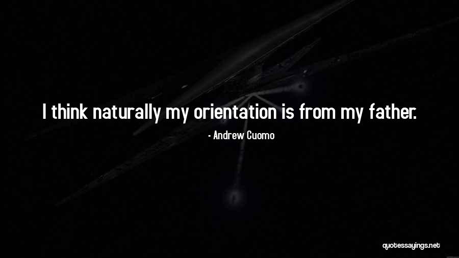 Inmadurez Quotes By Andrew Cuomo Inmadurez Quotes By Andrew Cuomo