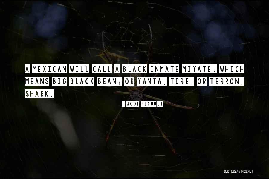 Inmate Quotes By Jodi Picoult Inmate Quotes By Jodi Picoult