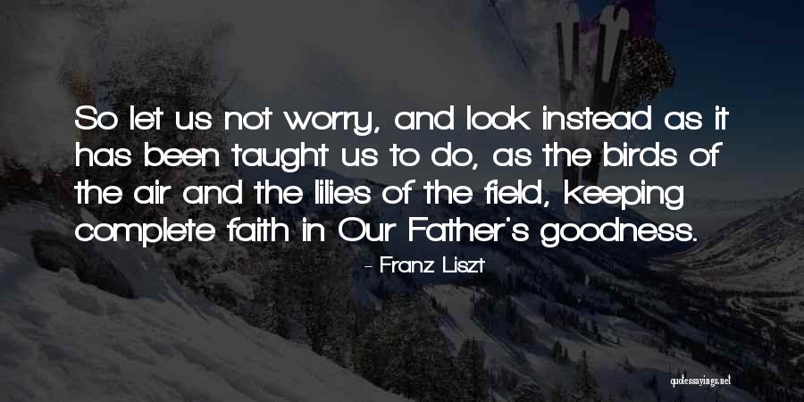 Inmovilizado Material Quotes By Franz Liszt Inmovilizado Material Quotes By Franz Liszt