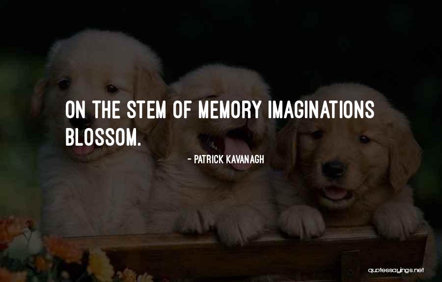 Inmunidad Pasiva Quotes By Patrick Kavanagh