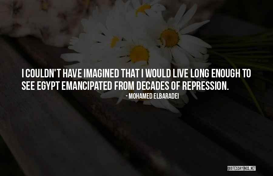 Innale Quotes By Mohamed ElBaradei Innale Quotes By Mohamed ElBaradei