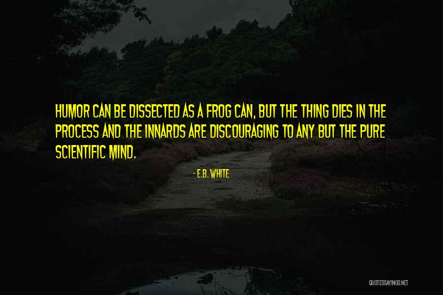 Innards Quotes By E.B. White Innards Quotes By E.B. White