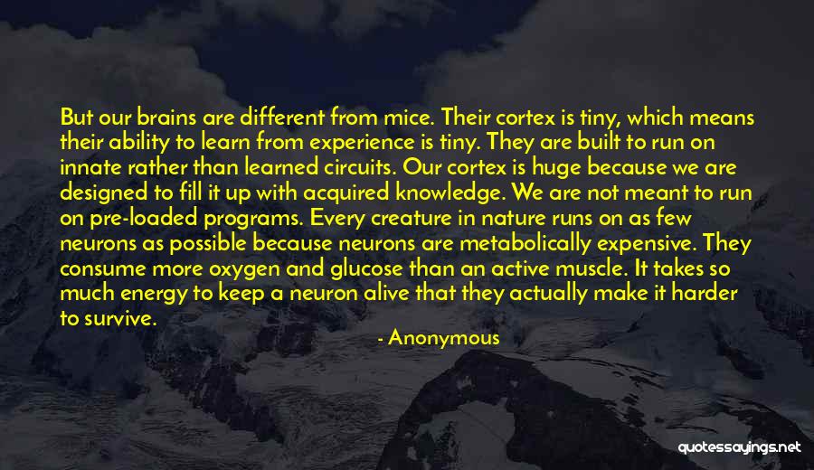 Innate Nature Quotes By Anonymous Innate Nature Quotes By Anonymous