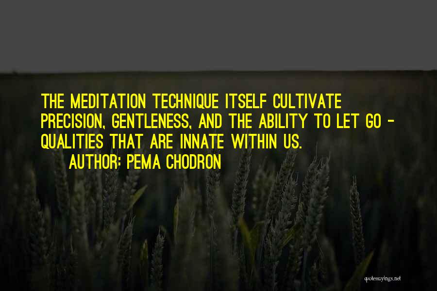 Innate Quotes By Pema Chodron