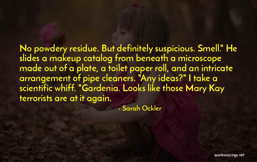 Innateness Chomsky Quotes By Sarah Ockler Innateness Chomsky Quotes By Sarah Ockler
