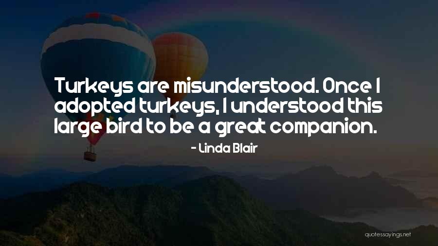 Innella Orthopedic Quotes By Linda Blair Innella Orthopedic Quotes By Linda Blair