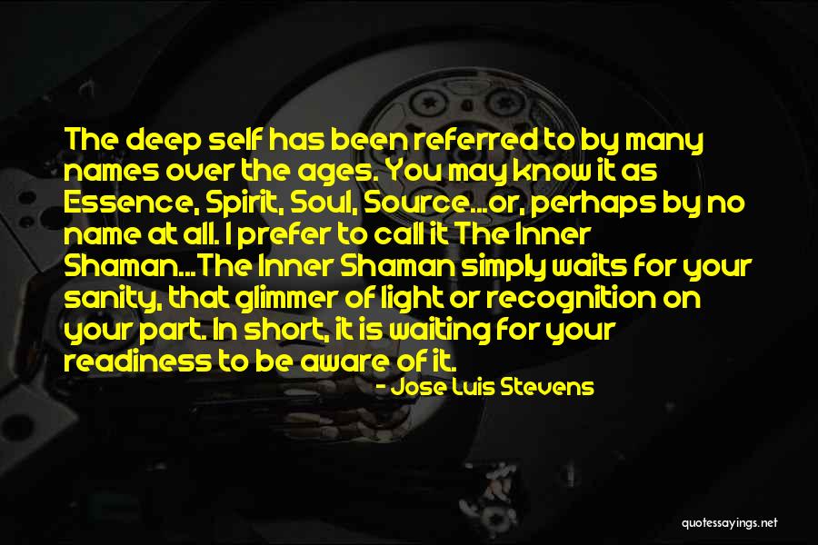 Inner Core Quotes By Jose Luis Stevens Inner Core Quotes By Jose Luis Stevens