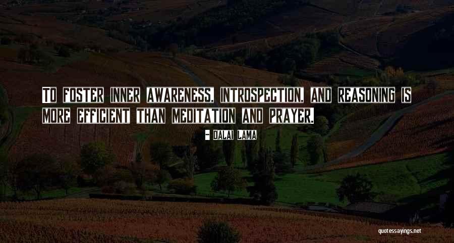 Inner Introspection Quotes By Dalai Lama Inner Introspection Quotes By Dalai Lama