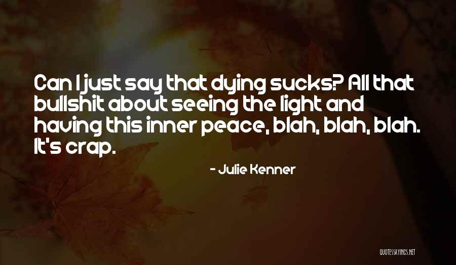 Inner Light Quotes By Julie Kenner