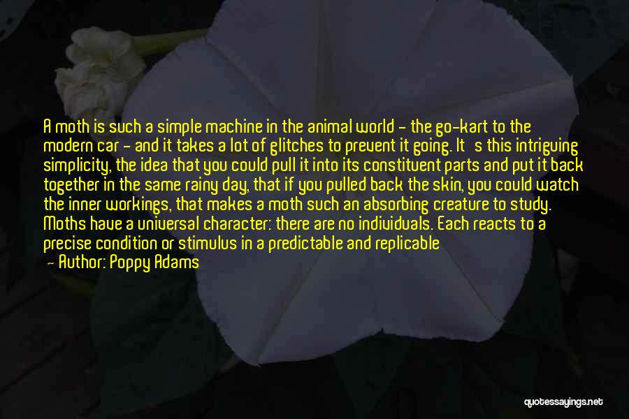 Inner Light Quotes By Poppy Adams
