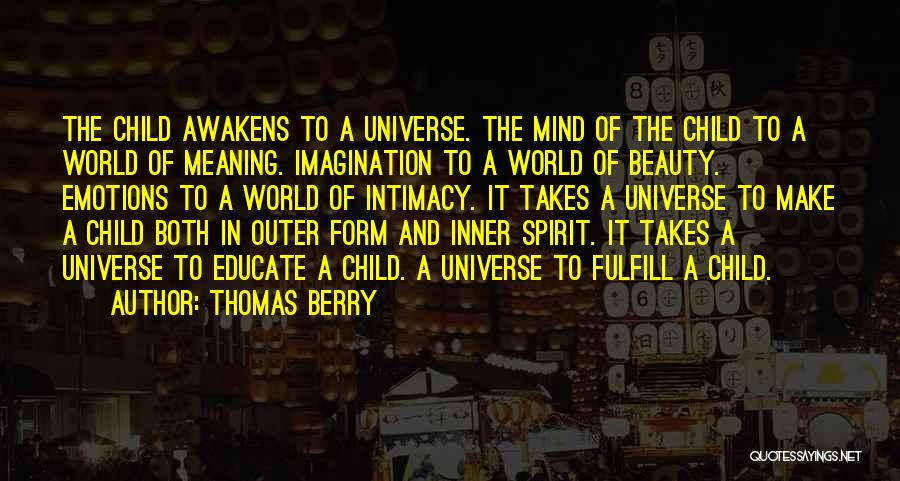 Inner Outer Beauty Quotes By Thomas Berry