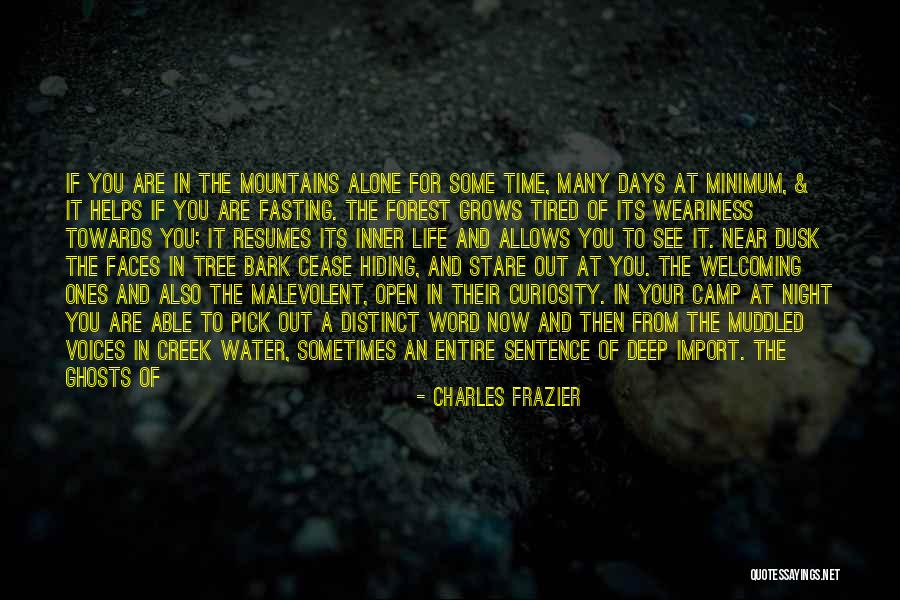 Inner Serenity Quotes By Charles Frazier Inner Serenity Quotes By Charles Frazier
