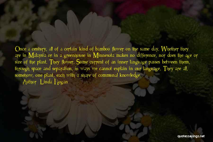 Inner Space Quotes By Linda Hogan