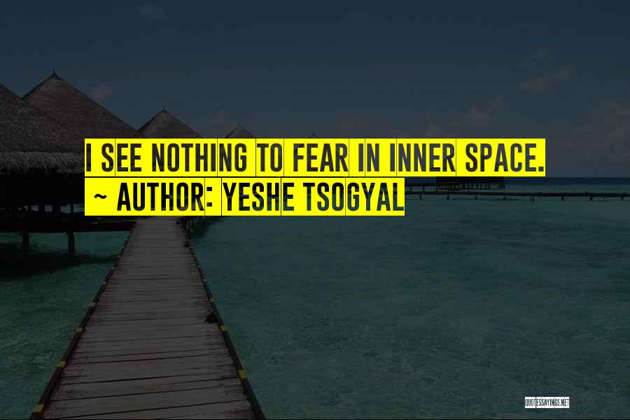 Inner Space Quotes By Yeshe Tsogyal