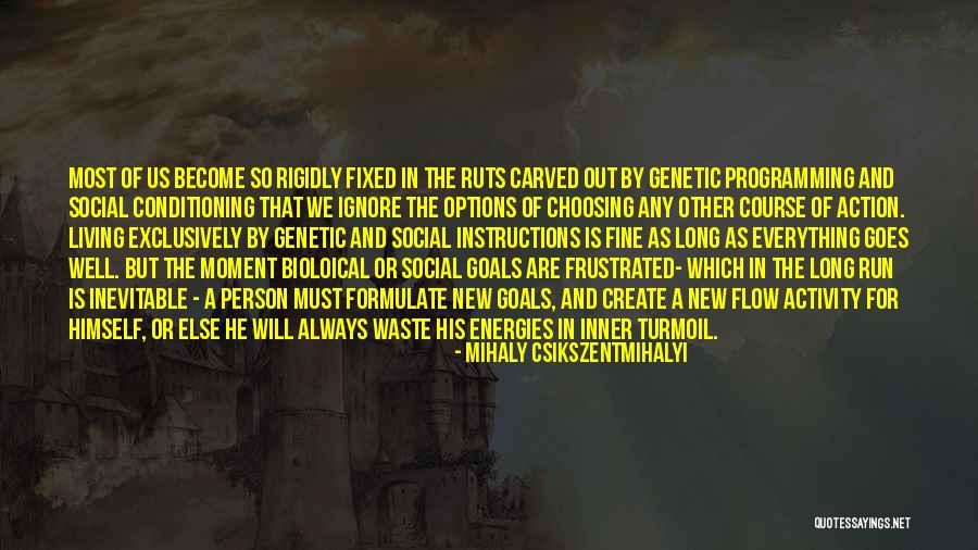 Inner Turmoil Quotes By Mihaly Csikszentmihalyi Inner Turmoil Quotes By Mihaly Csikszentmihalyi