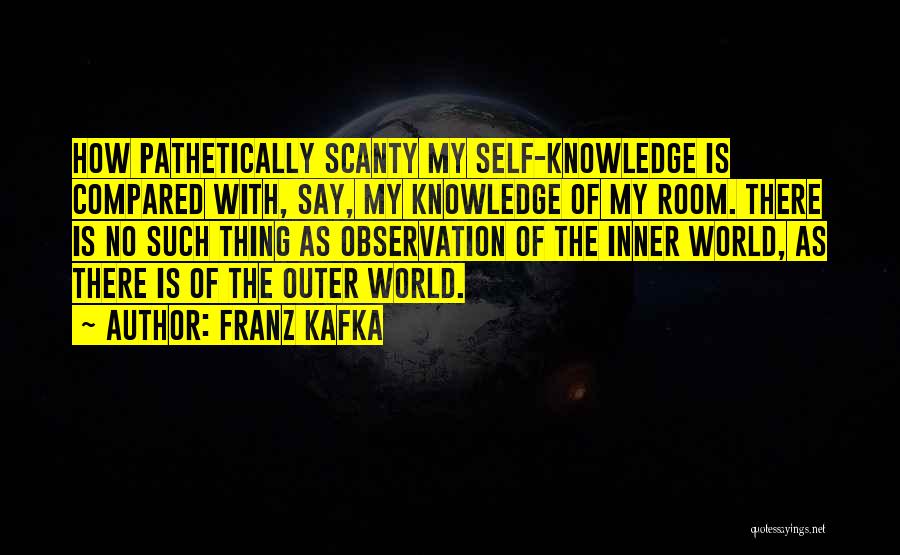 Inner World Outer World Quotes By Franz Kafka