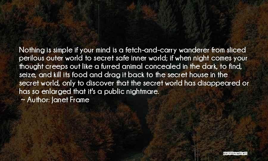 Inner World Outer World Quotes By Janet Frame