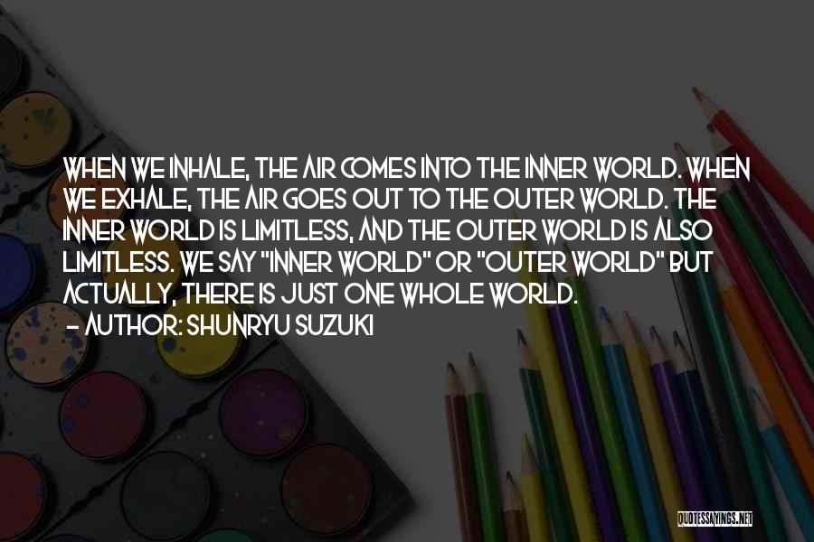 Inner World Outer World Quotes By Shunryu Suzuki
