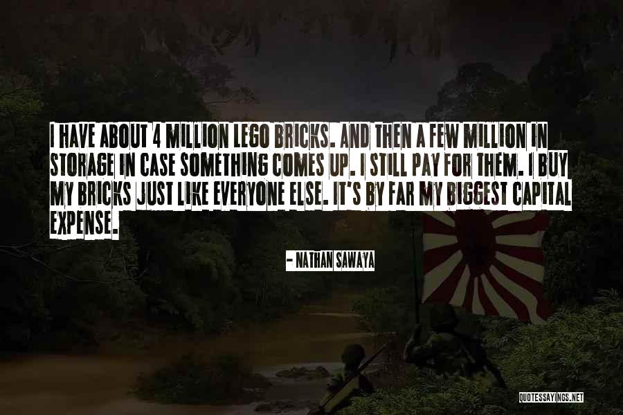 Inniss Rosalyn Quotes By Nathan Sawaya Inniss Rosalyn Quotes By Nathan Sawaya
