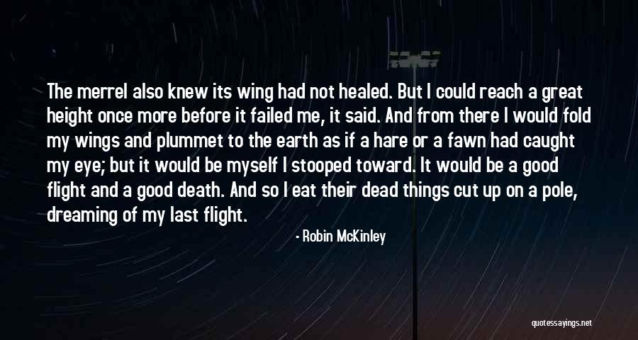 Innjoo Quotes By Robin McKinley Innjoo Quotes By Robin McKinley