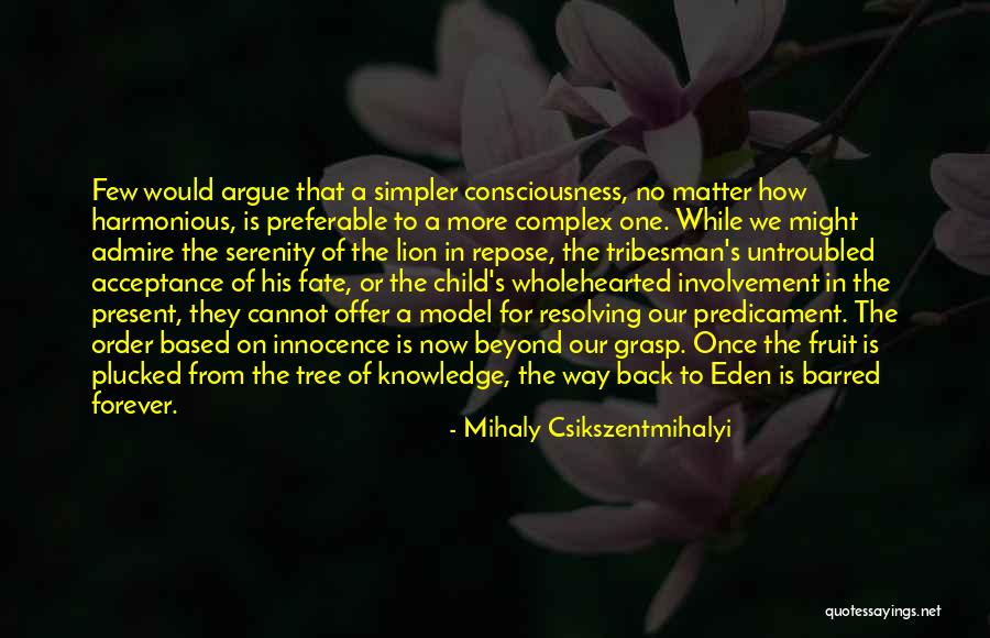 Innocence Of A Child Quotes By Mihaly Csikszentmihalyi Innocence Of A Child Quotes By Mihaly Csikszentmihalyi