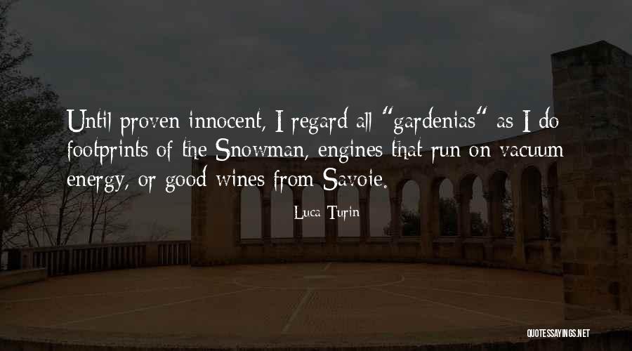 Innocent As Quotes By Luca Turin Innocent As Quotes By Luca Turin