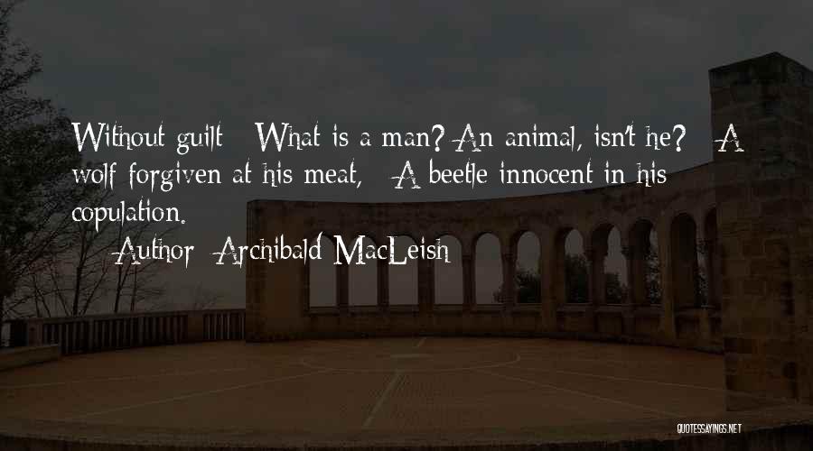 Innocent Man Quotes By Archibald MacLeish