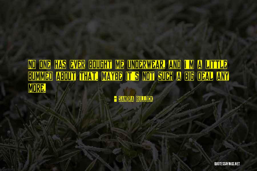Innocuite Quotes By Sandra Bullock