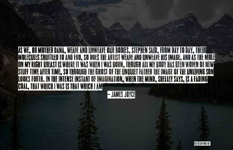 Innovara Quotes By James Joyce Innovara Quotes By James Joyce
