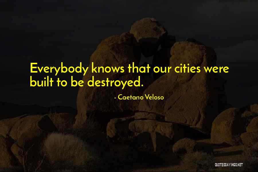 Innovatek Quotes By Caetano Veloso Innovatek Quotes By Caetano Veloso