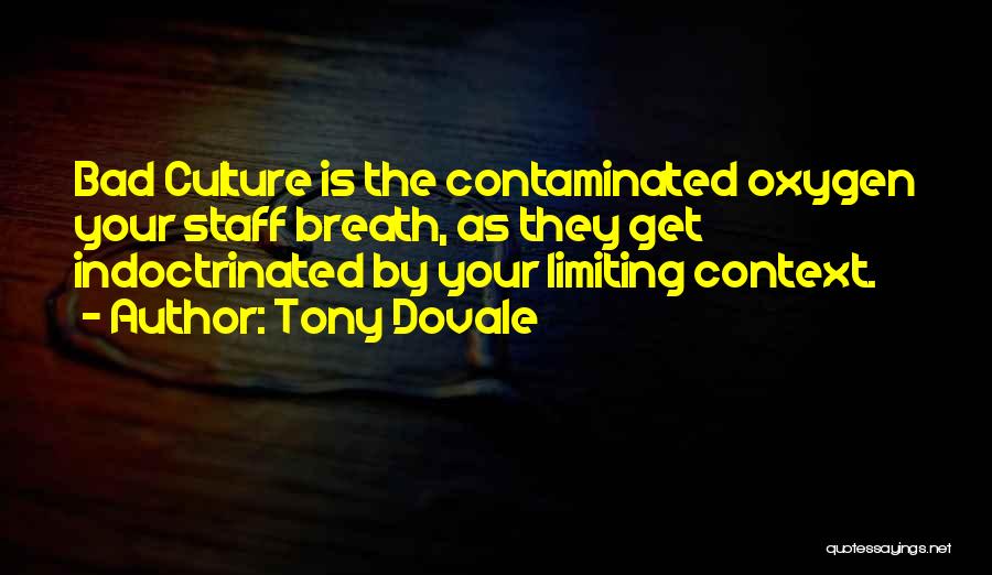 Innovation Culture Quotes By Tony Dovale