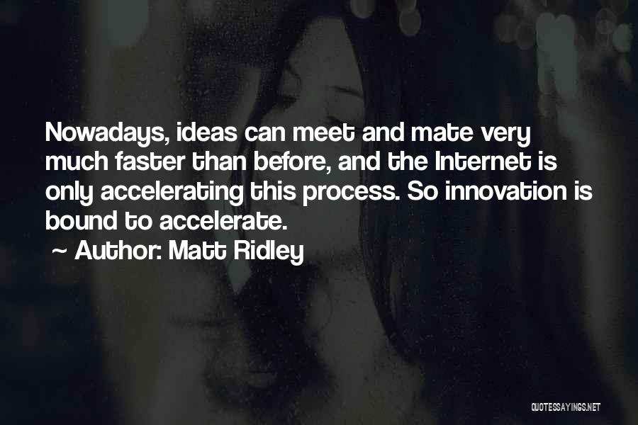 Innovation Ideas Quotes By Matt Ridley