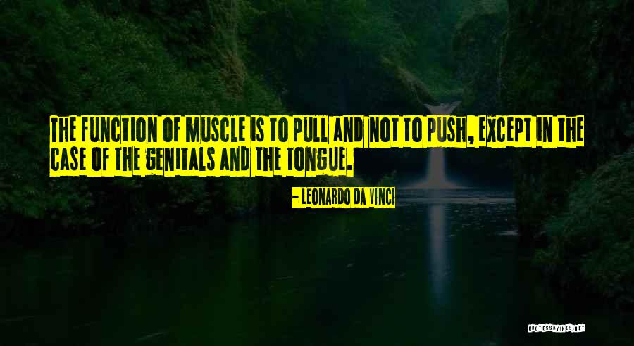 Innuendo Quotes By Leonardo Da Vinci Innuendo Quotes By Leonardo Da Vinci