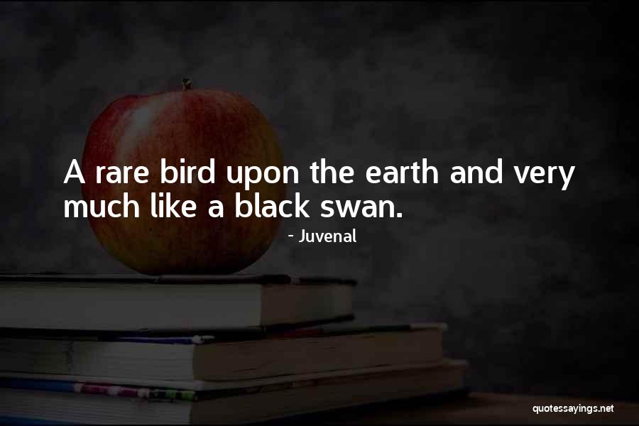Inocente Myke Quotes By Juvenal Inocente Myke Quotes By Juvenal