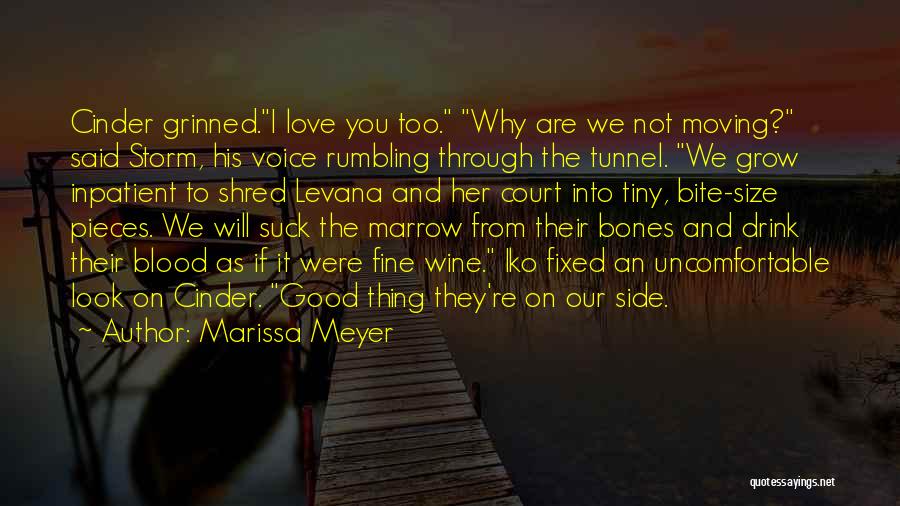 Inpatient Love Quotes By Marissa Meyer