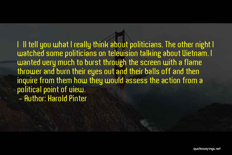 Inquire Quotes By Harold Pinter