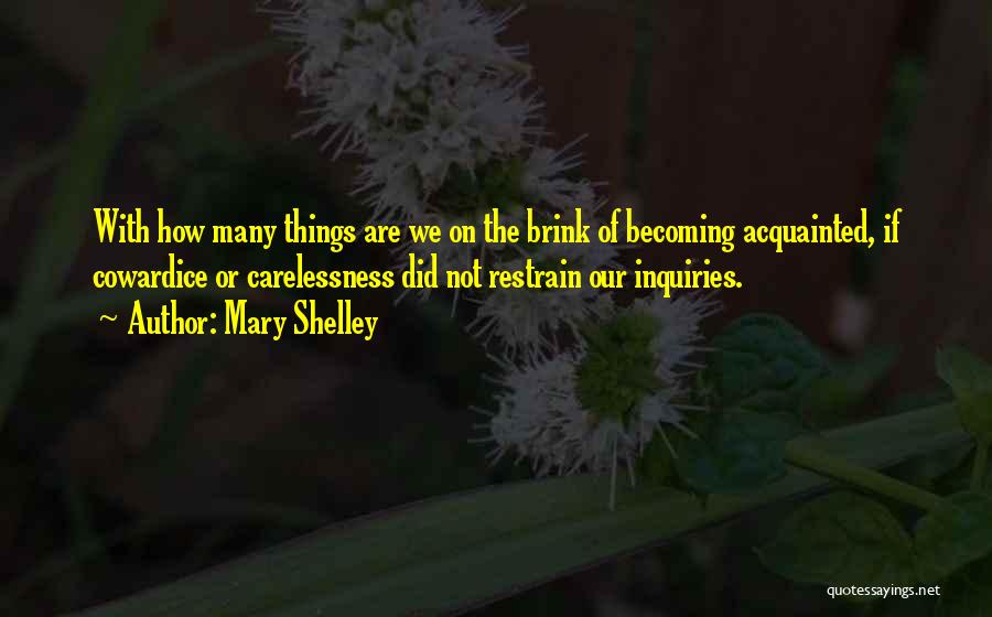 Inquiries Quotes By Mary Shelley
